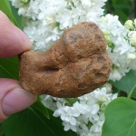 Конкуренция