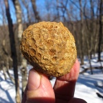 Stylina. Подснежная...