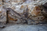 Ось(рахис) листа с ответвлением Neuropterisa