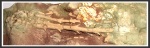 Иглы морского ежа Archaeocidaris mosquensis?