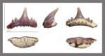 Synechodus