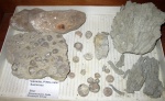Горизонт Курессааре 4