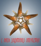 С Праздником!