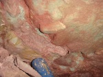 Diaphanometopus volborthi Fr.Schmidt в породе на месте находки