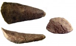 Hyolithes acutus Eichwald, 1840