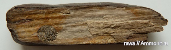 Семилуки, Латная