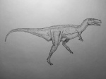 Giganotosaurus carolinii