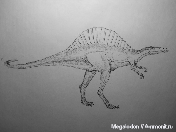 рептилии, динозавры, мел, альб, реконструкции, рисунки, Spinosaurus aegyptiacus, Spinosaurus, Albian, Cretaceous