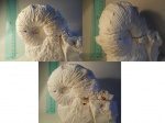Acanthoscaphites tridens