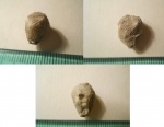 Echinoencrinites angulosus