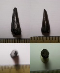 Holoptychius