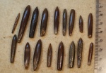 Hibolites