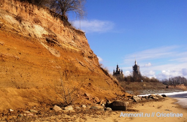 Ярославская область