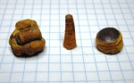 Orthoceras
