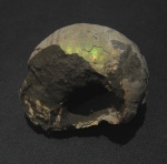 Cadoceratinae