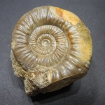 Grossouvria