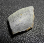 Psephodus