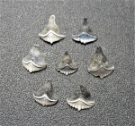 Ctenoptychius