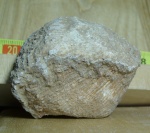 табуляты2