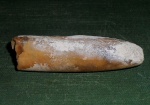 Белемниты