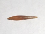 Hibolithes planoclava