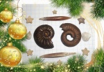 С Новым Годом!!!