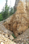 Водорослевая линза Водорослевая линза