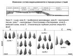 Из презентации