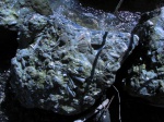 юрская каша