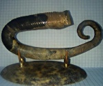 Acrioceras