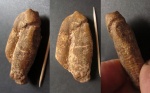 Гетероморф 62мм AURITINA AURITA