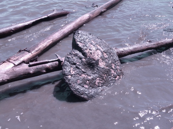 Craspedodiscus