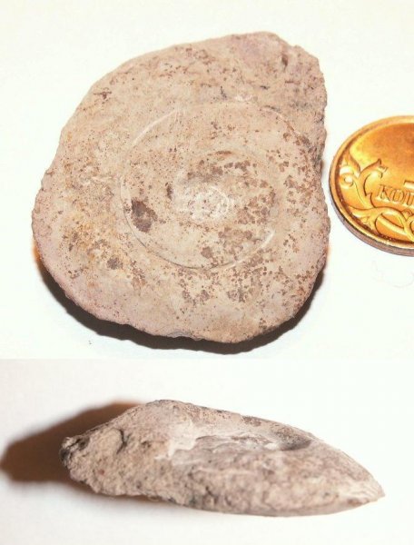 Pararaphistoma