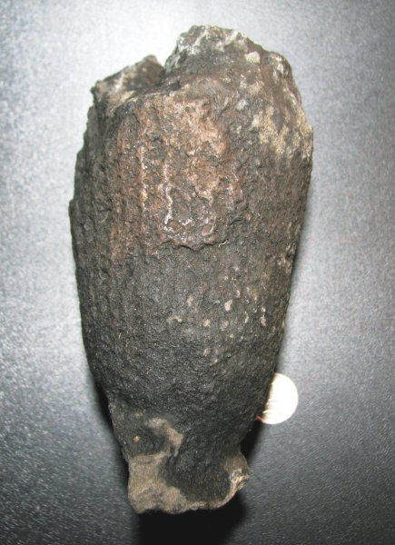 Sphenaulax