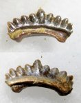 Harpacodus