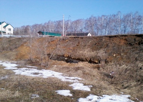 Гжель