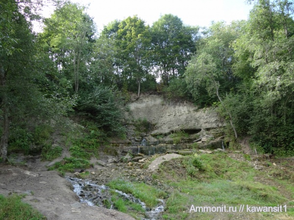 девон, Devonian, места находок