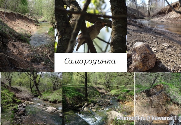 морена, места находок