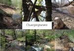 Самородинка