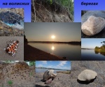 фотографии с мест находок