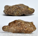копролит акулы с включениями