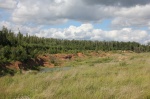 Калиновые выселки 23.06.14