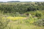 Афанасьевский карьер 05.06.14