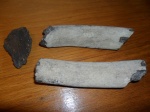Фрагменты ребер Cetotherium и фрагмент панциря Trionychidae