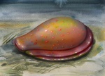 Kimberella