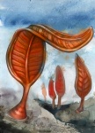 Charniodiscus