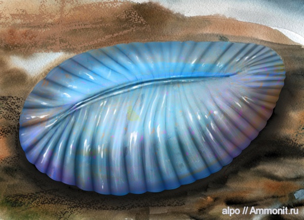 венд, эдиакарий, Dickinsonia, Dickinsonia costata, арт