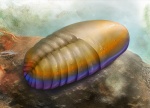 Cyanorus
