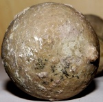 Морской пузырь Echinosphaerites