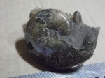 Euphylloceras и Ptychoceras.